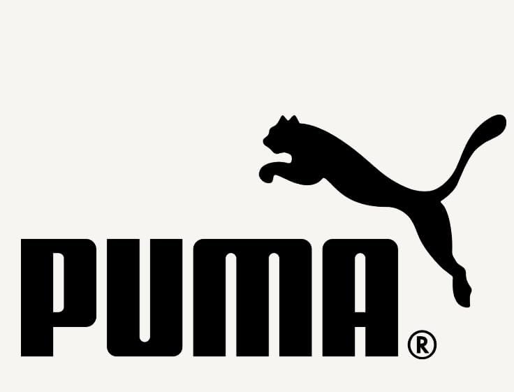 PUMA Boys Performance Hoodie
