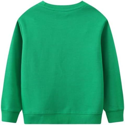 Funnymore Toddler Boy Cotton Crewneck Long Sleeve Sweatshirt 2-7T