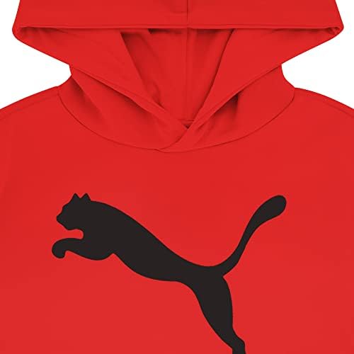 Stand Out PUMA Boys Logo Pullover Hoodie