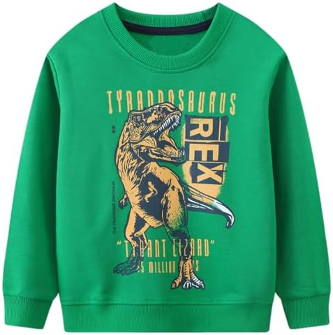 Funnymore Toddler Boy Cotton Crewneck Long Sleeve Sweatshirt 2-7T