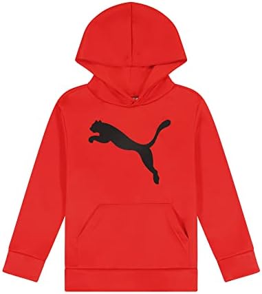 Stand Out PUMA Boys Logo Pullover Hoodie