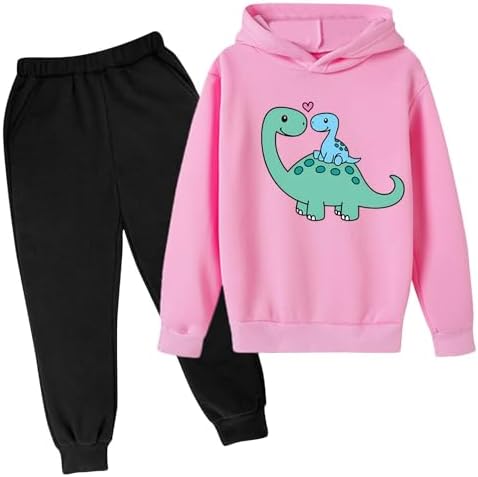 Cute 2 Piece Hooded Tracksuit Set for Kids Boy Girl