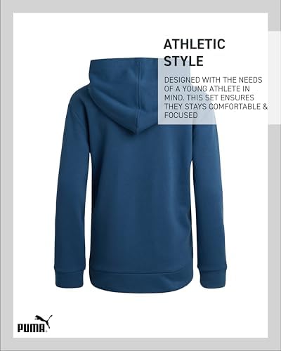 PUMA Boys Performance Hoodie