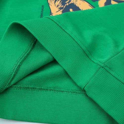 Funnymore Toddler Boy Cotton Crewneck Long Sleeve Sweatshirt 2-7T
