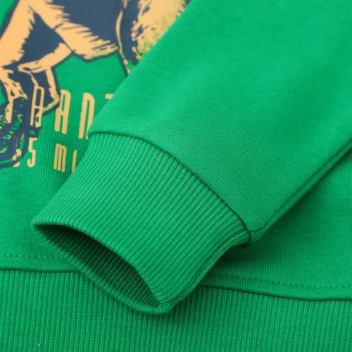 Funnymore Toddler Boy Cotton Crewneck Long Sleeve Sweatshirt 2-7T