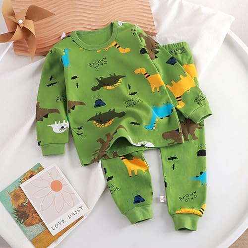 Dinosaur Jammie Set for Boys Snug Fit Cotton Pajamas