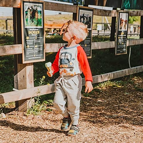 Comfortable dinosaur-themed 2-pack sweatpants for boys
