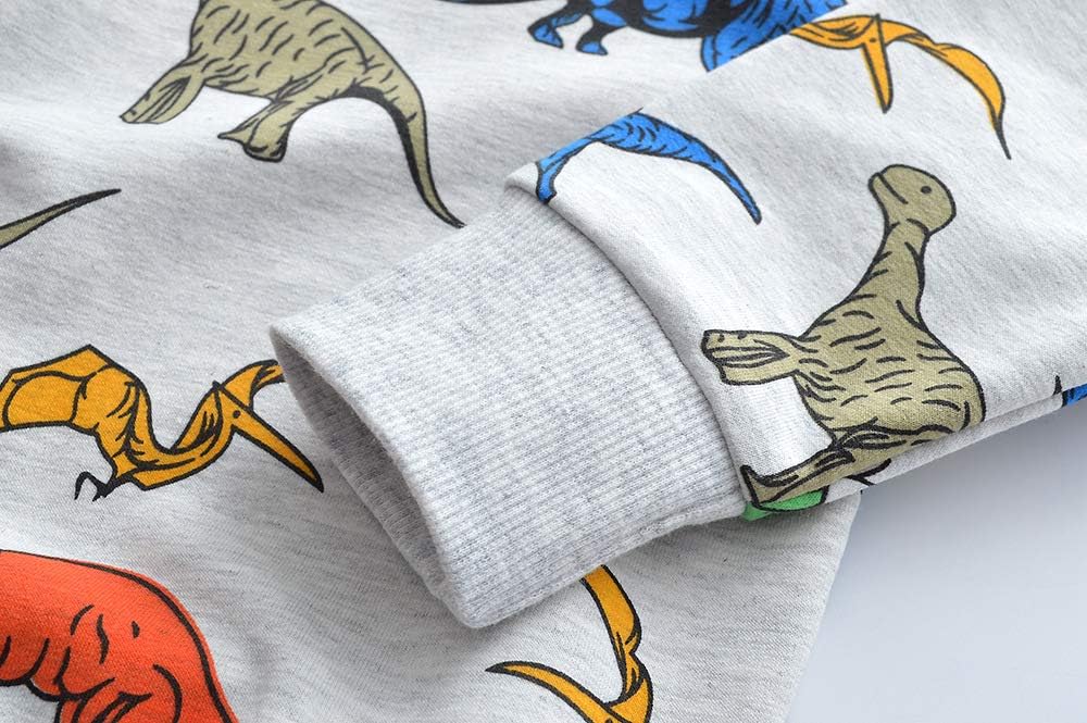 Toddler Boys Sweatshirts with Dinosaur Print and Elephant Trunk Sleeves