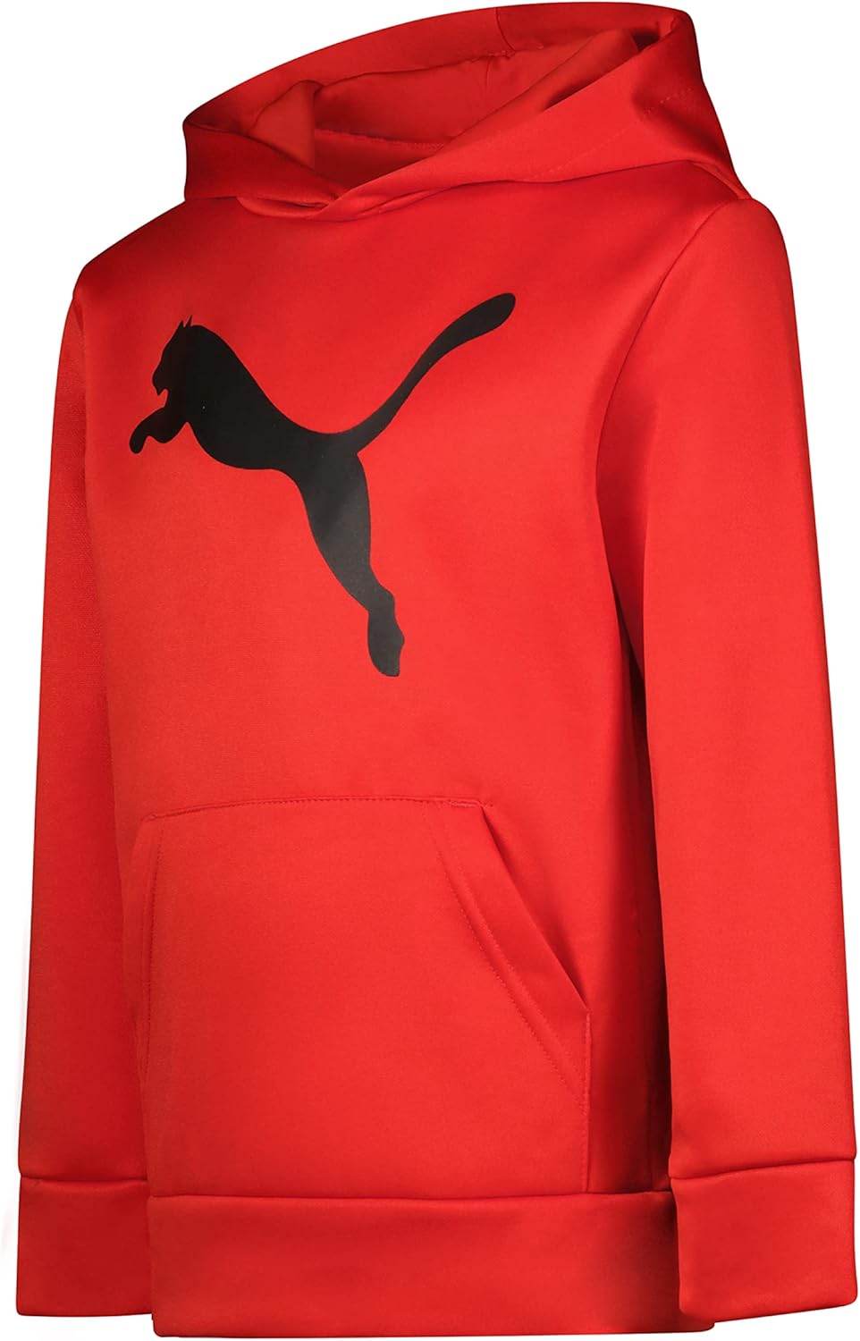 Stand Out PUMA Boys Logo Pullover Hoodie