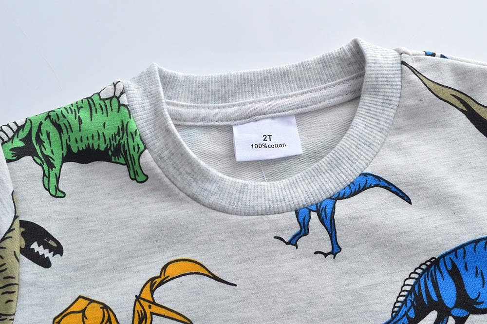 Toddler Boys Sweatshirts with Dinosaur Print and Elephant Trunk Sleeves