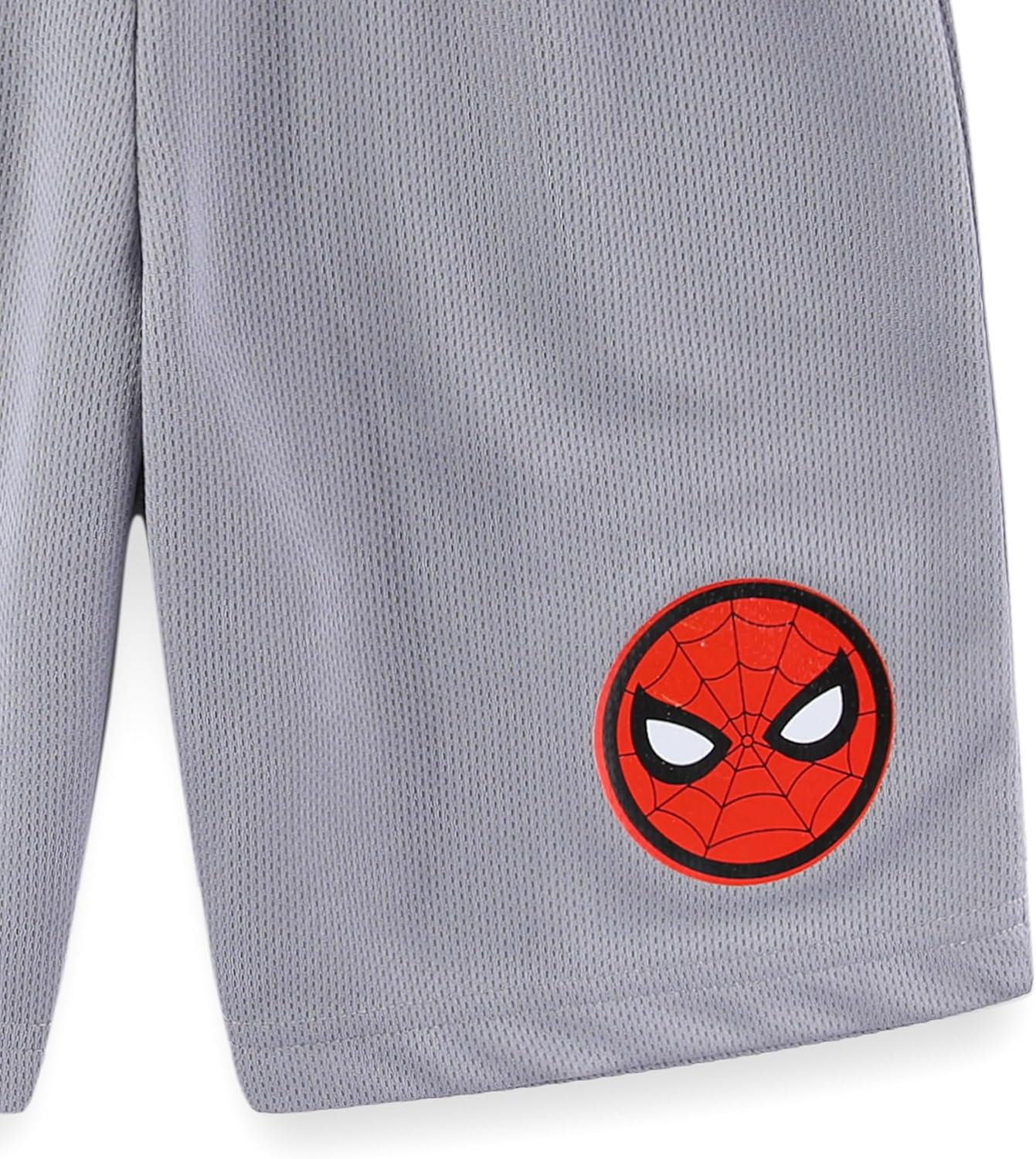 Marvel Spider-Man Boys Short Sleeve T-Shirt and Shorts Set