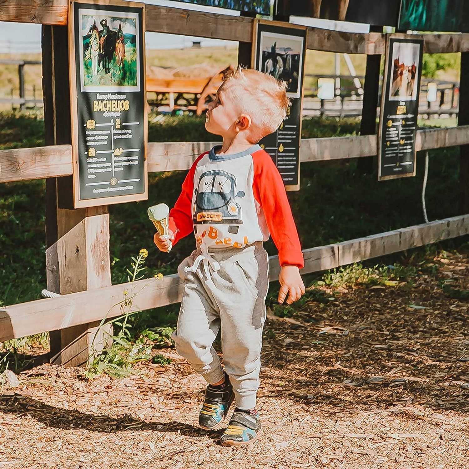 Comfortable dinosaur-themed 2-pack sweatpants for boys